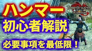 ハンマー初心者解説講座 ～必要なこと最低限を簡潔に～【モンハンサンブレイク】