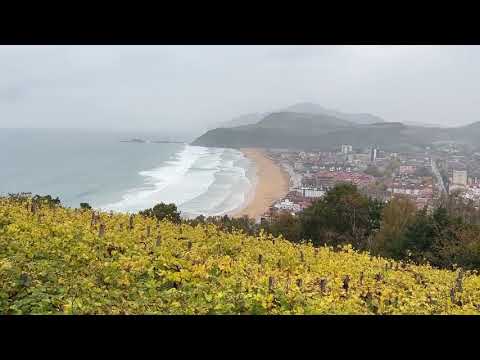 Dando un paseo por el monte