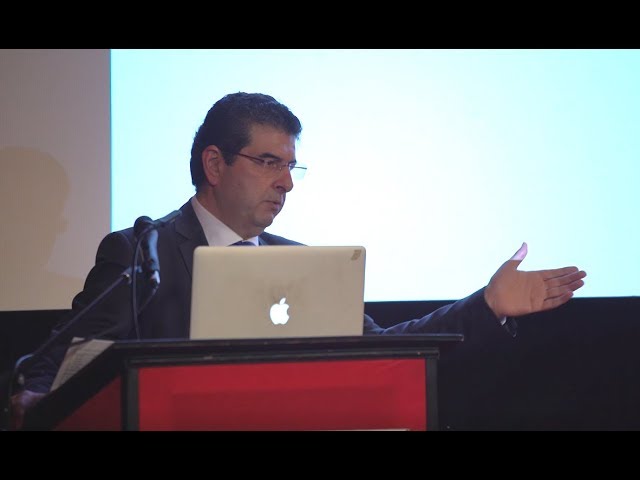 Afshin Ellian