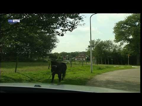 De Bijrijder - Luttenberg