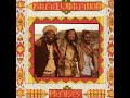 Israel Vibration - There Is No End