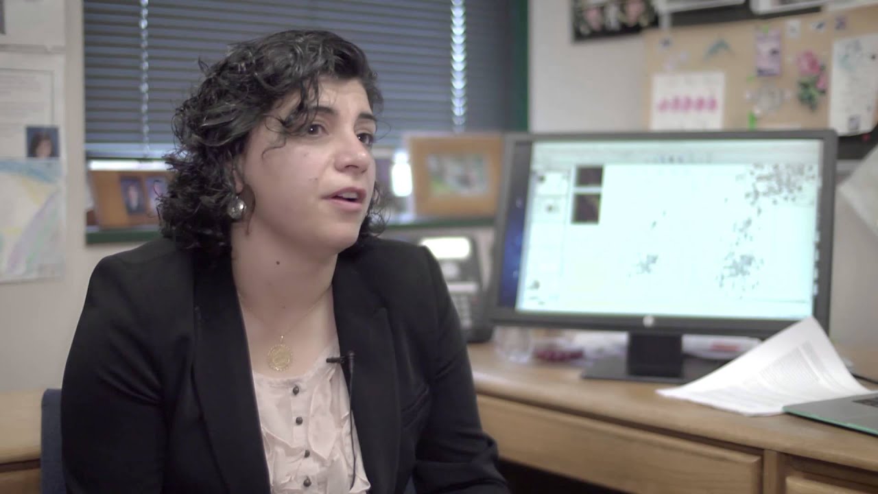 LC8-IDP Interactions