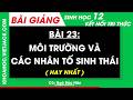 Bài giảng Sinh học 12 Bài 23: Môi trường và các nhân tố sinh thái
