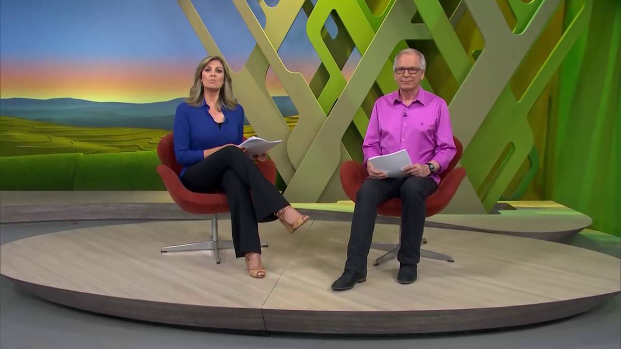 Floresta recriada tem hoje mais de 100 espécies de árvores nativas