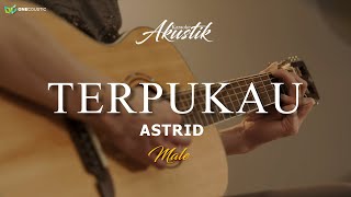 Download lagu ASTRID - TERPUKAU  ( KARAOKE AKUSTIK ) MALE mp3