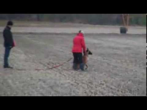 download lagu mp3 mp4 Of Liberty Chenil, download lagu Of Liberty Chenil gratis, unduh video klip Of Liberty Chenil