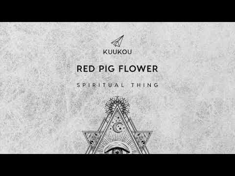 P R E M I E R E // Red Pig Flower - Ghost (Original Mix) [Kuukou Records]