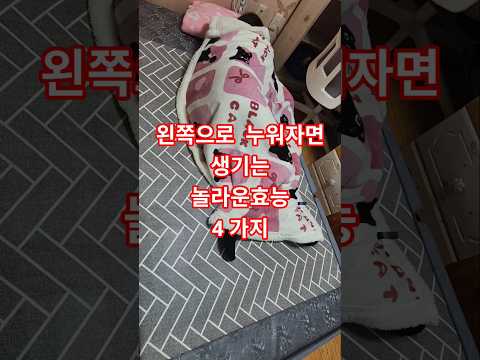 ⭐️ 왼쪽으로‼️누워자면 생기는⚠️ 놀라운효과👍4가지 #건강정보 #건강한중년 #강아지 #쇼츠 #반려견 #동물키우기 #건강관리 #funnyvideo #shortvideo