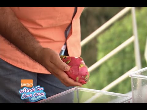 Made for Each Other | Ep 60 - A fun task | Mazhavil Manorama