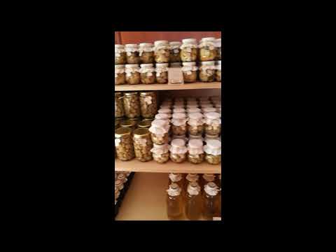 Terme Olimia in Podčetrtek 2018