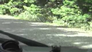 カムイワッカの滝