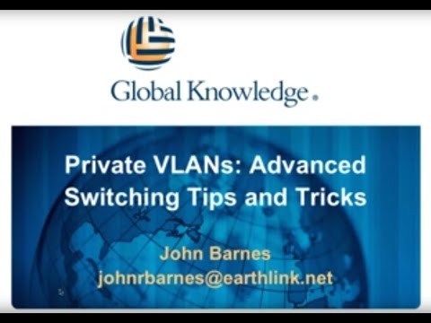 What You Need to Know About VLANS & Private VLANS