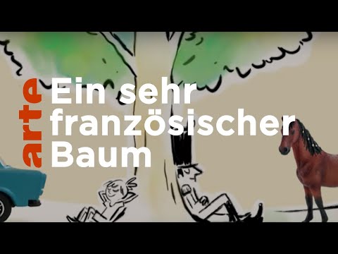 Die Platane | Karambolage | ARTE