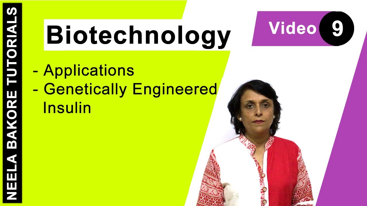 Biotechnology | NEET | Genetically Engineered Insulin | Neela Bakore Tutorials