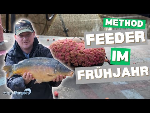 Method Feeder im Frühjahr! Mehr Friedfische und Karpfen fangen dank dieser englischen Methode.