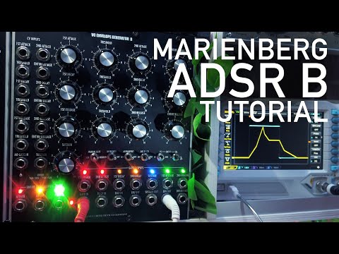 Marienberg VC Envelope Generator B (ADSR B) Tutorial // 5U Modular Synth #TTNM