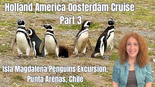 Cruise to Antarctica: Penguins Excursion Punta Arenas, Chilean Fjords on HAL Oosterdam Part THREE