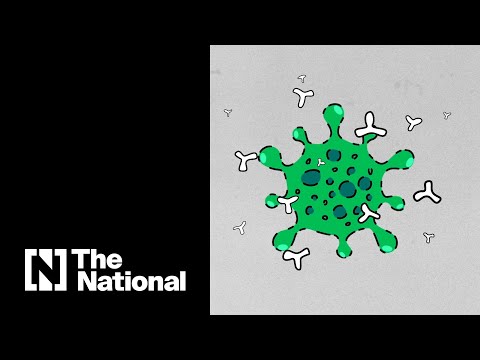 Covid-19 vaccines: Sinopharm, Pfizer, Moderna, Oxford and Sputnik explained