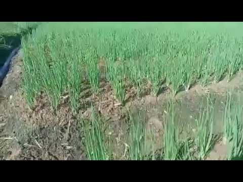 khi sử  dụng  entec 20 10 10