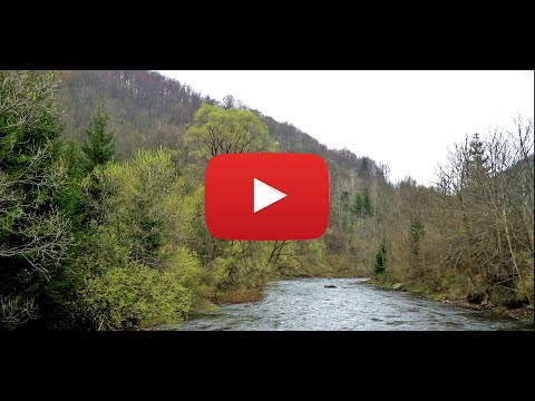 JW FORMOZA selekcja - etap górski