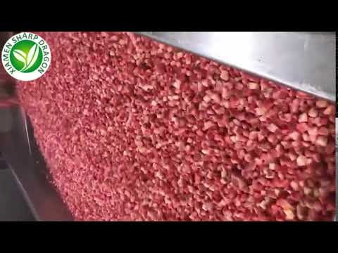 download lagu mp3 mp4 Frozen Diced Strawberries, download lagu Frozen Diced Strawberries gratis, unduh video klip Frozen Diced Strawberries