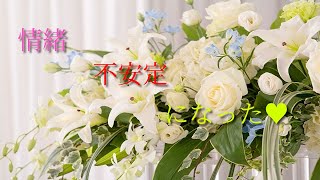 【ガチクソ手抜き動画】君の膵臓をたべたいを視聴したら感動した挙句に情緒不安定になった。（ガチ）【キミスイ】