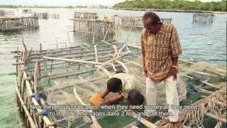 preview picture of video 'Membatasi Daerah Penangkapan Ikan, Menjadikan Tangkapan Lebih Banyak di Selayar'