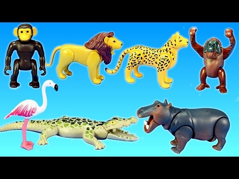 PLAYMOBIL Jungle Zoo Wild Animals Pond Area Building Set Build Review