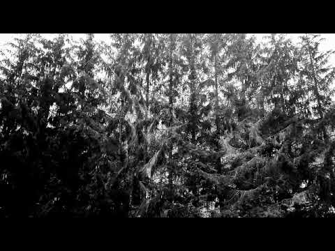 Fuckin' Faces - Sterbebett