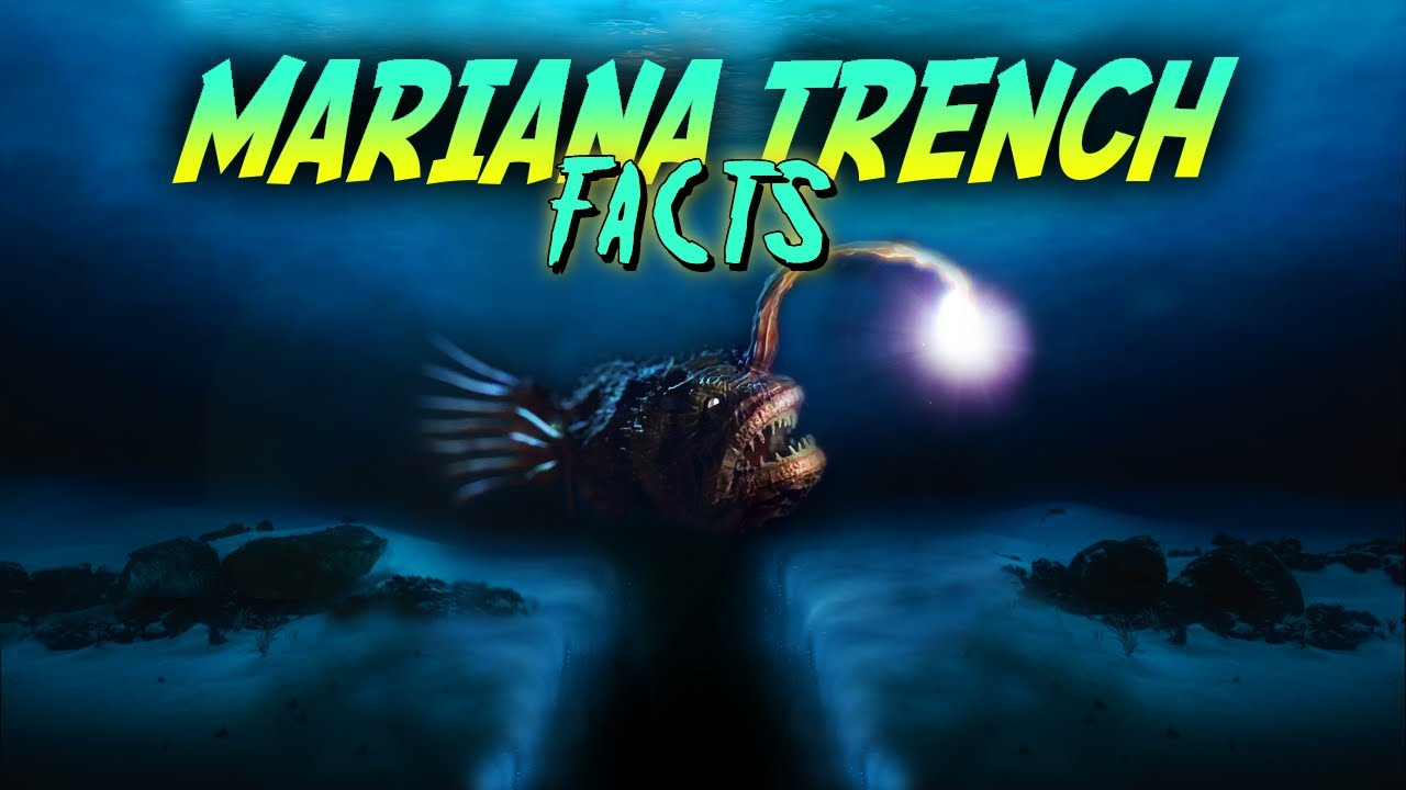 Mariana Trench Facts!