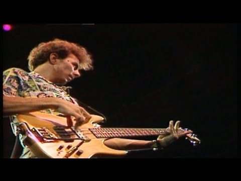 Assaltaram a Gramática - Paralamas do Sucesso