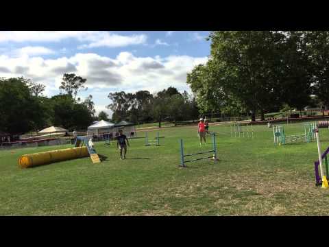 Bev and Pixie - Level 2 Standard Round 1 (16") - 2015-07-11