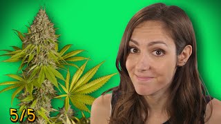 Top 5 FACTS About Weed
