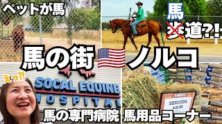 【60代アメリカ生活】馬が中心の街ノルコを散策🐎お友達の豪邸ガレージでクラシックカーに乗ったらもう俳優気分でしたw