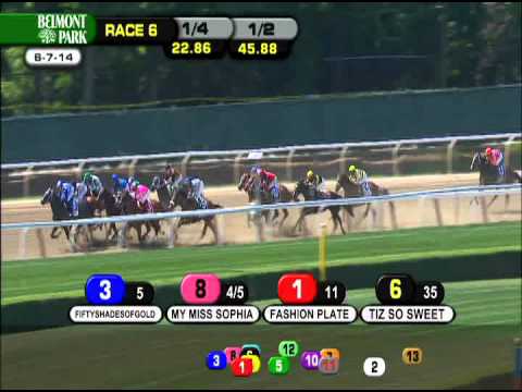 Sweet Reason - 2014 TVG Acorn  (G1)