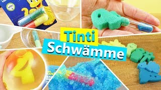 Tinti Schwämme | XXL BADEÜBERRASCHUNG | Die coolsten Tinti Schwämme Süße Meerestiere | KIDS CLUB