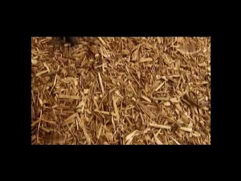 Wunder der Evolution - Toxine (2/5)