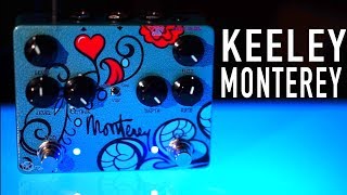 Video thumbnail for Rockin a Keeley Monterey Rotary Fuzz Vibe by Sean Daniel