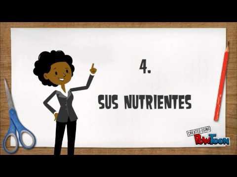 foliculo piloso - by valeria