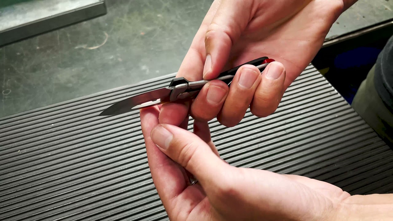 Buck 417 Budgie Knife with Pocket Clip Buck® Knives OFFICIAL SITE