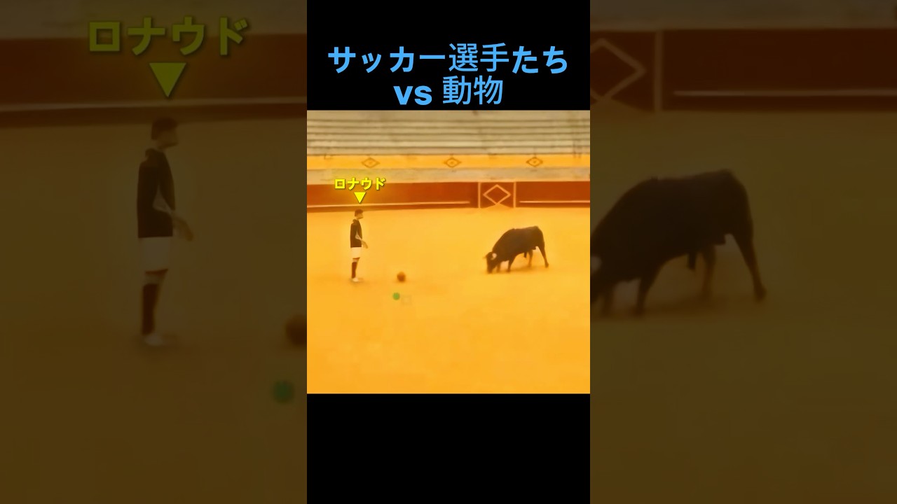 ロナウド vs 牛