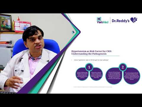 Insights On Hypertensive Kidney Disease