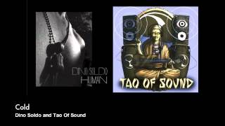 Cold (Dino Soldo and Tao Of Sound)