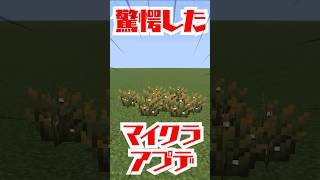 驚愕したマイクラアプデ！その3