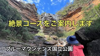 ツアーでは行かないブルーマウンテンズ世界遺産を歩く#世界遺産#ブルーマウンテンズ#トレッキング 