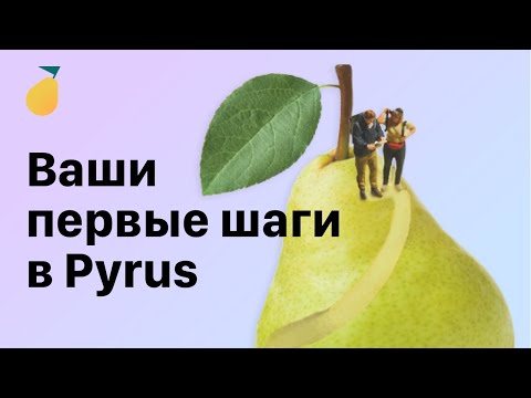 Видеообзор Pyrus