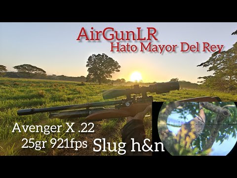 Cacería De Guineas Con El Avenger X .22 25Gr 