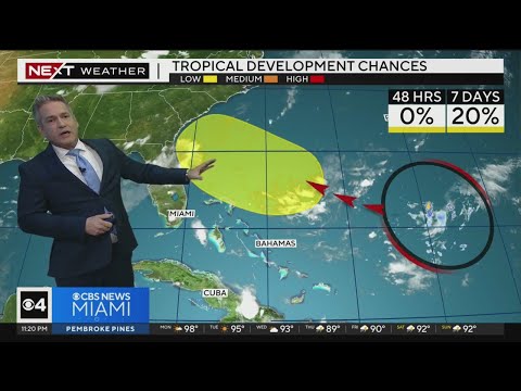 NEXT Weather forecast for Monday 7/24/23 11PM