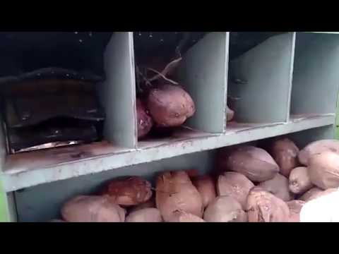 Automatic coconut de husking machine