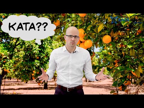 Online Toyota Kata Kurs in deutscher Sprache